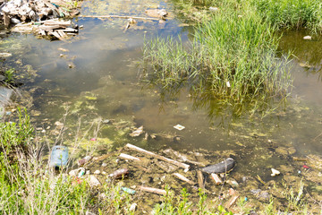 Pollution Filled Dirty Water Pond