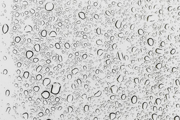 Drops of rain on window white background