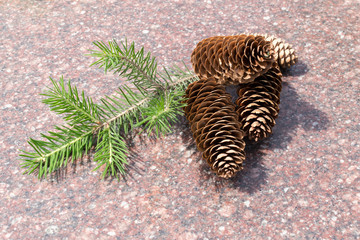 Pine Cones on Marble
