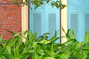 Blue windows, red brick wall and green leaves background