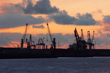 Fototapeta premium cranes in Bilbao harbour at sunset