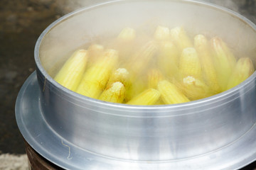 Boiling corn cobs