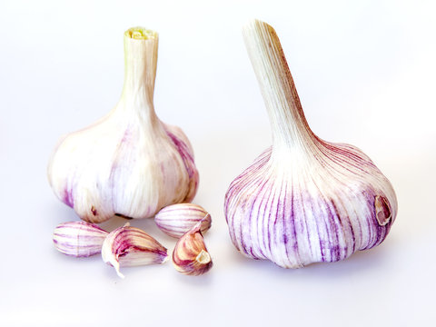 Heads of fresh garlic