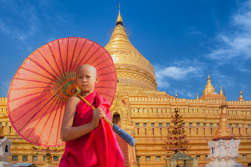 Little novive and golden pagoda