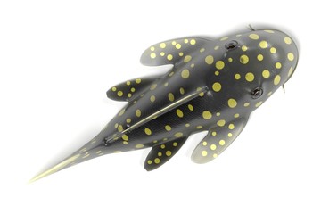 3d render of baryncistrus xanthellus