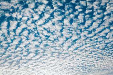 Cloudscape With Altocumulus Clouds - obrazy, fototapety, plakaty