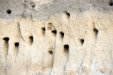 Jerzyki gniazdują w wydrążonych w piaskowych skarpach dziuplach.