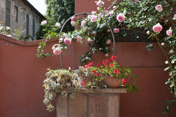 fioritura sul pozzo