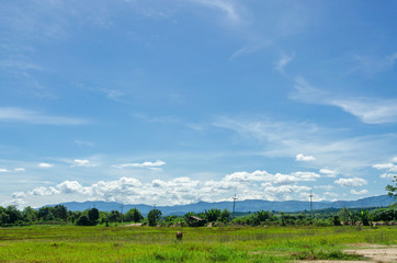 Fototapeta na wymiar general landscape views and blue sky