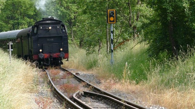Dampflok f&auml;hrt sehr nah vorbei, Schw&auml;bische-Waldbahn