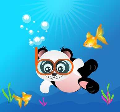 Panda diving