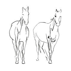 doble horse © terentyevajulia