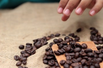 Beautiful of roasted coffee beans.