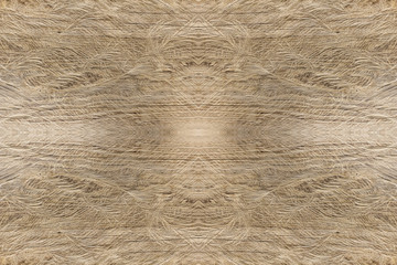 Old wood background
