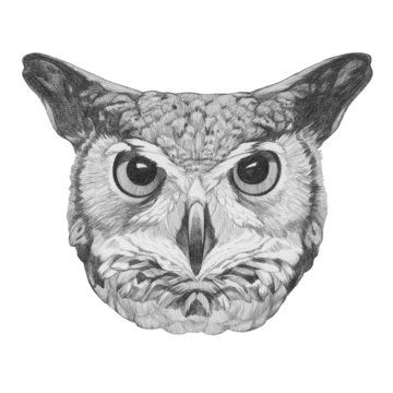 Original drawing of Owl. Isolated on white background