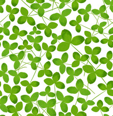 Seamless pattern pattern with green leaves. Floral decor. Origin