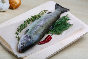 Raw trout