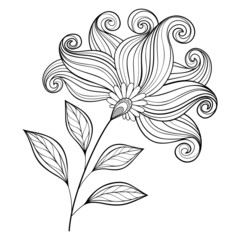 Vector Beautiful Monochrome Contour Flower