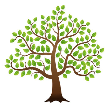 Vector green tree on white background