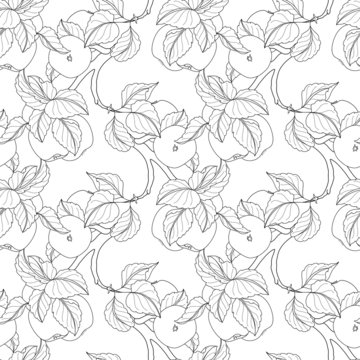 Vector Seamless Monochrome Fruit Pattern © irinakrivoruchko