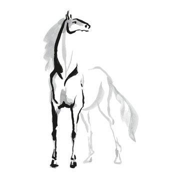 Horse sketh