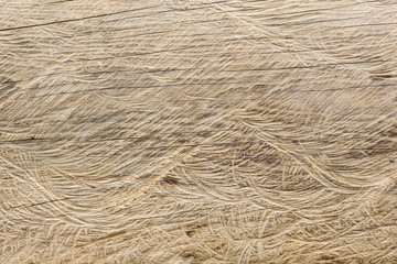 Wood texture