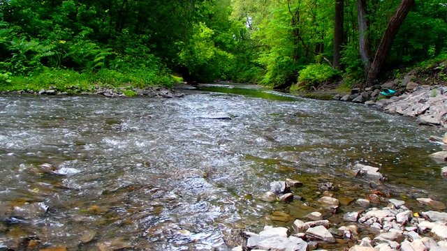 rivi&egrave;re