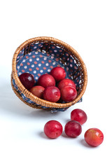 Plums Falling from Basket