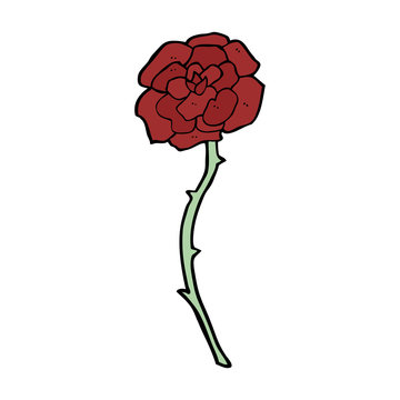 rose tattoo cartoon