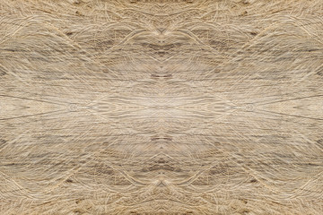 Wood texture