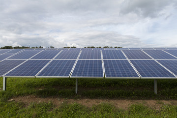 Solarzellen in einem Solarpark auf grüner wiese