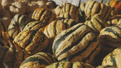 Gelb Grüne Kürbisse