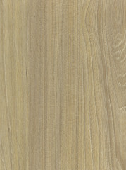 golden wood