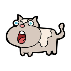 caroton shocked cat
