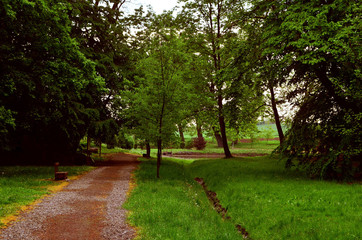 park miejski  © wedrownik52