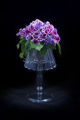 Beatiful flower composition on a black background