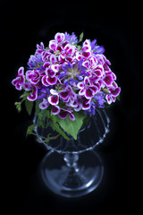 Beatiful flower composition on a black background