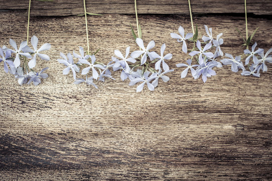 vintage wooden background with spring flowers