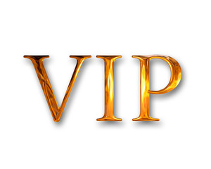 Very important person VIP
