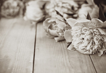 Sepia flowers on wooden background