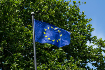 European Union flag over green tree