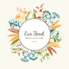 Vector Eco food card design with ink hand drawn agriculture plants sketch. Vintage farm plants illustration. Farm fresh background