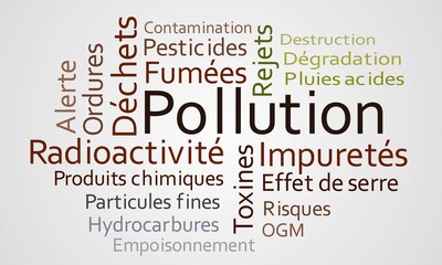La pollution
