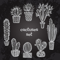 Flat chalk board black and white illustration of succulent plants and cactuses in pots. Vector botanical graphic set with cute florals.