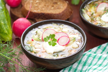 Russian cold soup - okroshka