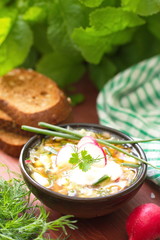 Russian cold soup - okroshka