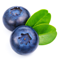 Obraz premium blueberries