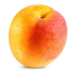 Apricot