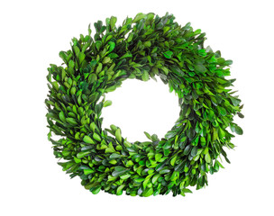 Wreath made of boxwood leaf wreath on white background