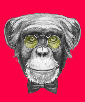 Original drawing of Monkey with glasses and bow tie. Isolated on colored background.